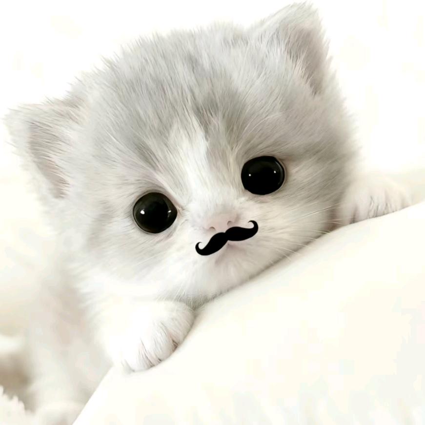 啥