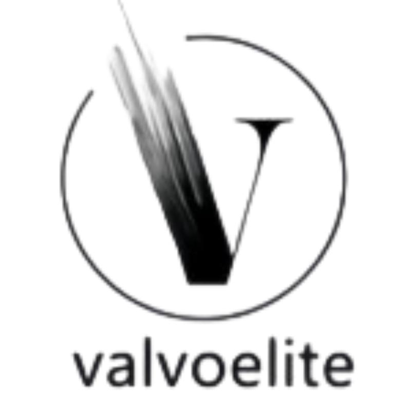 VALVOELITE九重葛商务男装专卖店