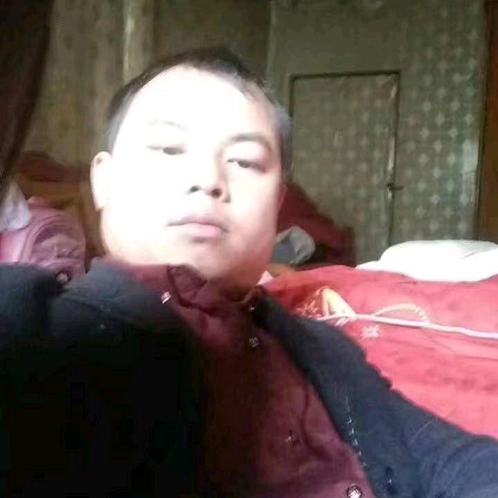 杨弟