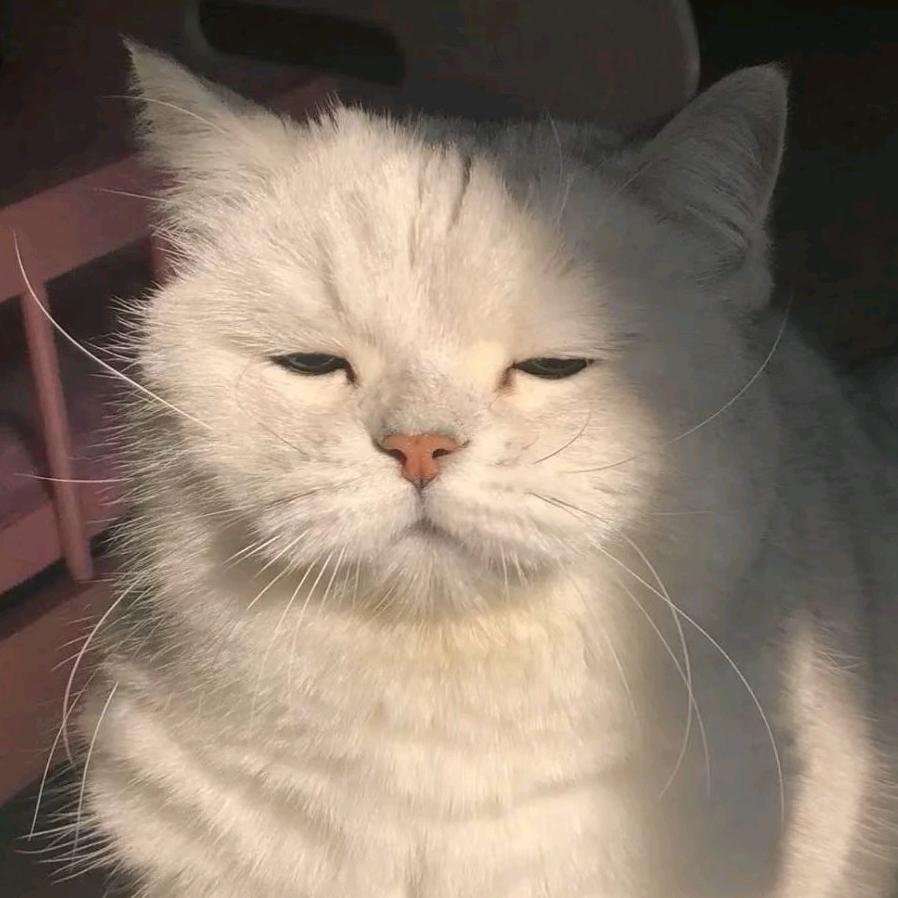 悠闲