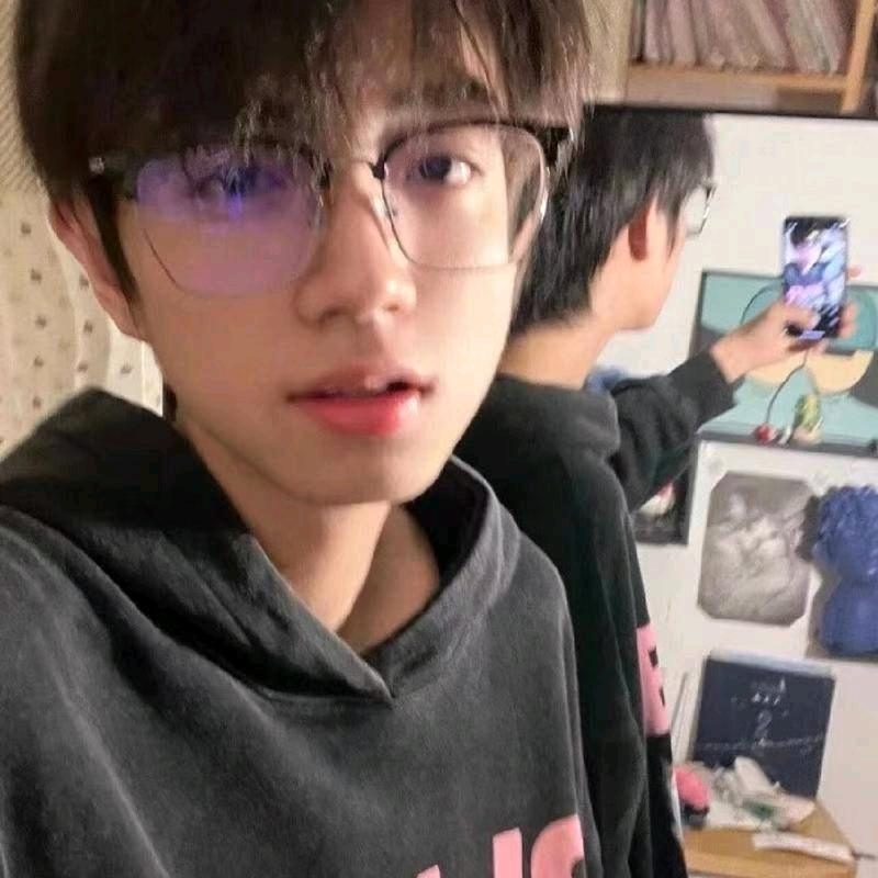 不会飞的翼龙.
