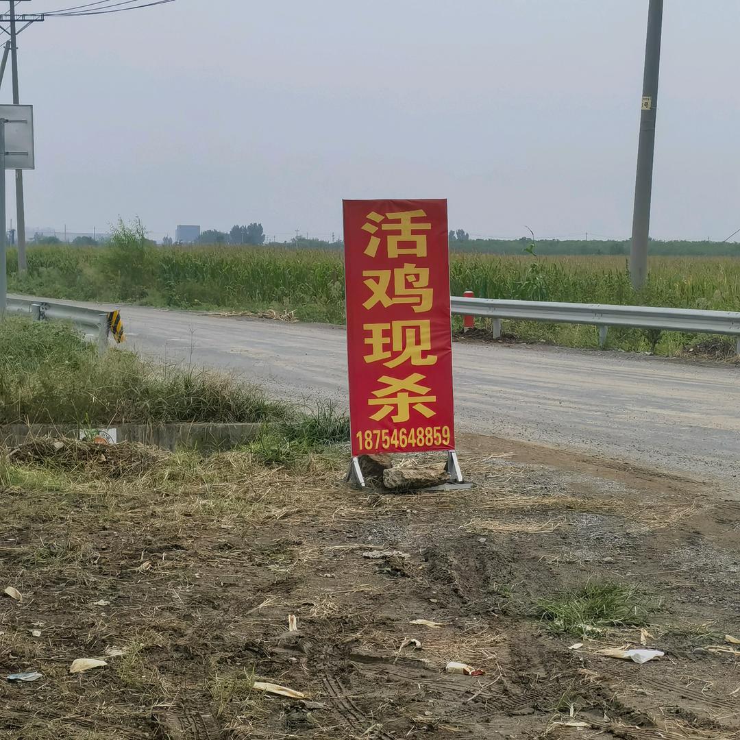 村头大漂亮活鸡店