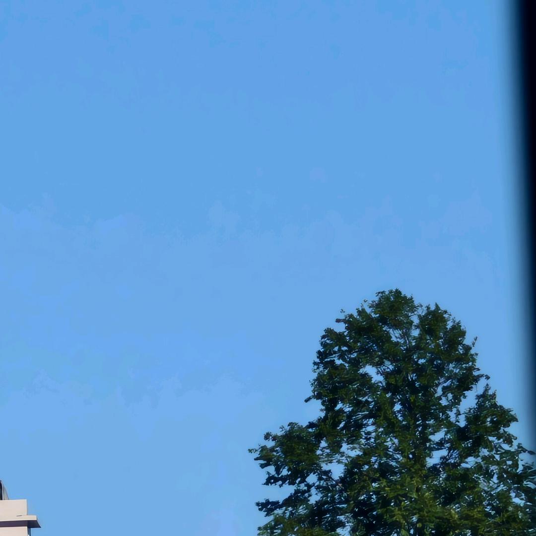 果茶要要要加冰