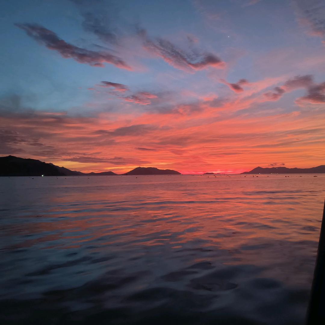 山海陈