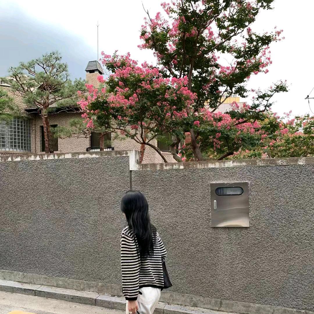 鹿梦
