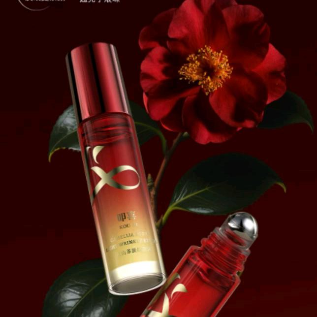 森504不离不弃（京津冀）