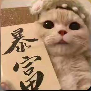 媛•💤
