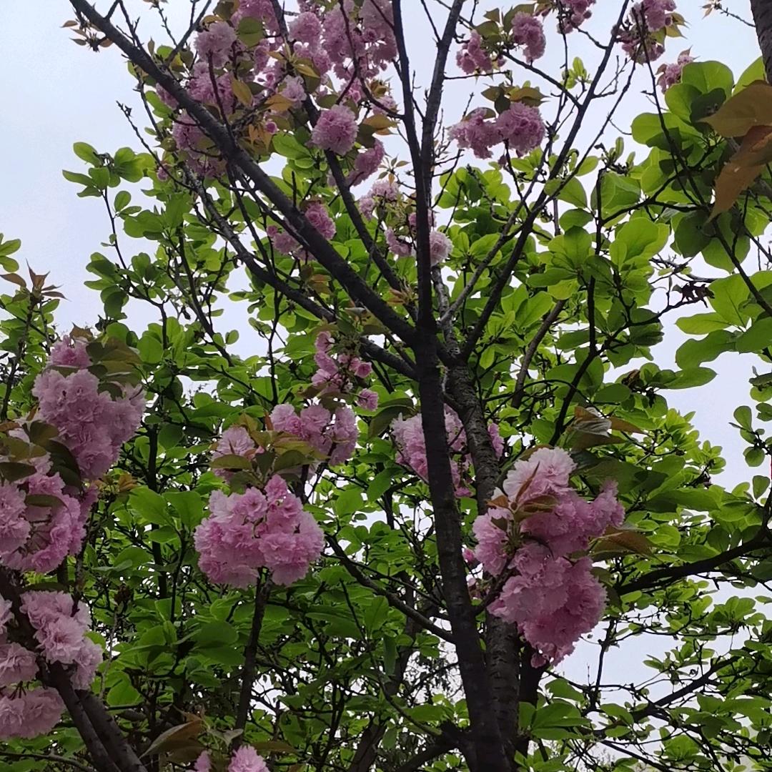 睡懒觉