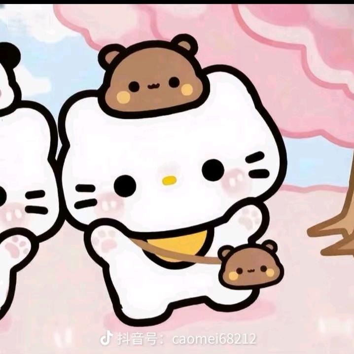 花已落