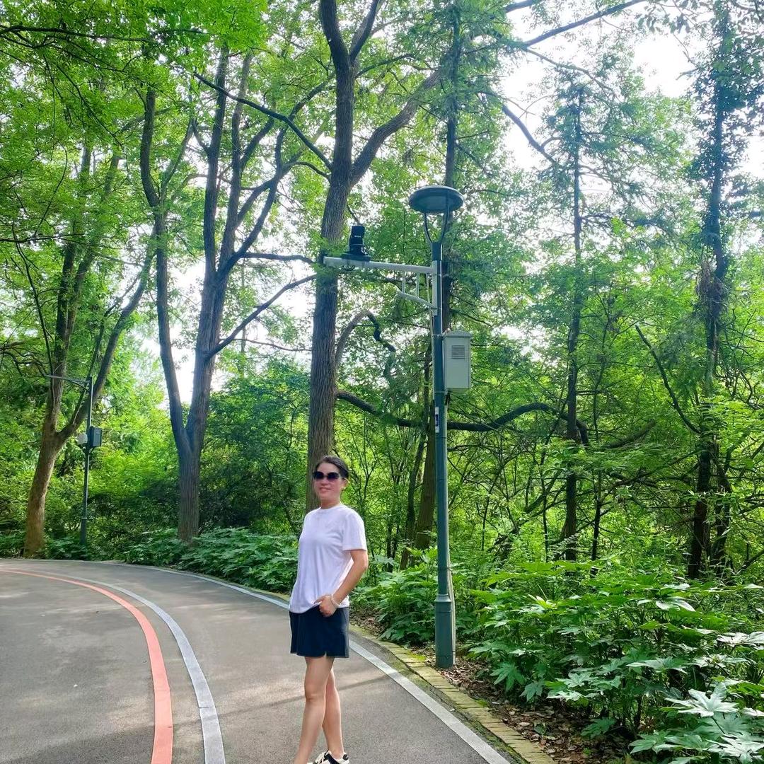 简单双子