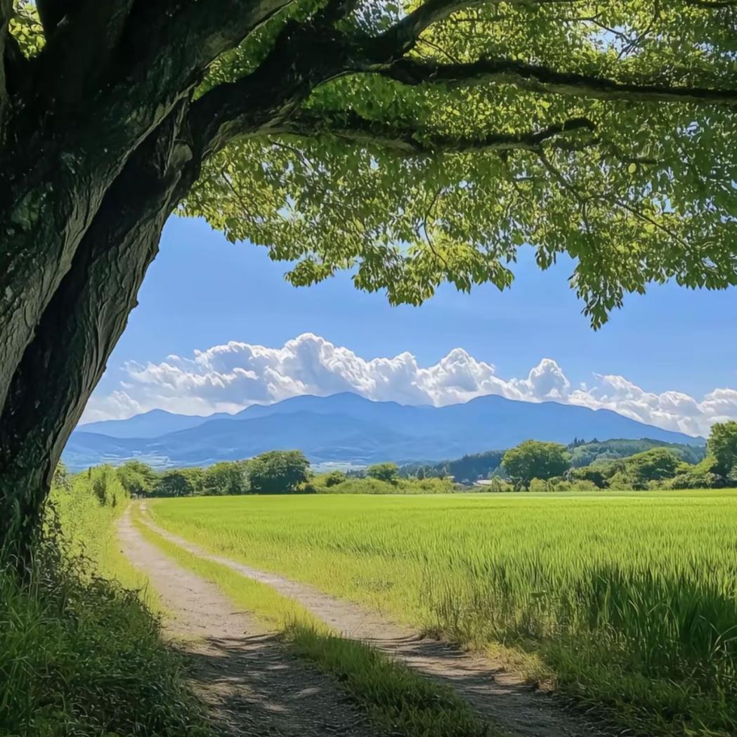 企鹅会吃北极鳕鱼吗？