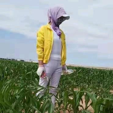 别挑战姐的底线