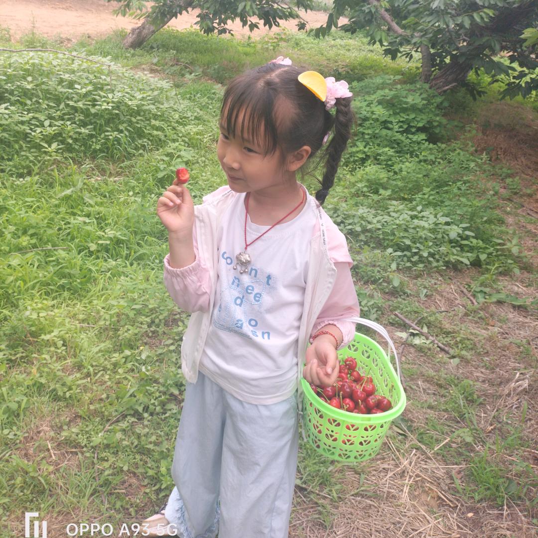 摘樱桃的小丫头🍒🍒🍒🍒
