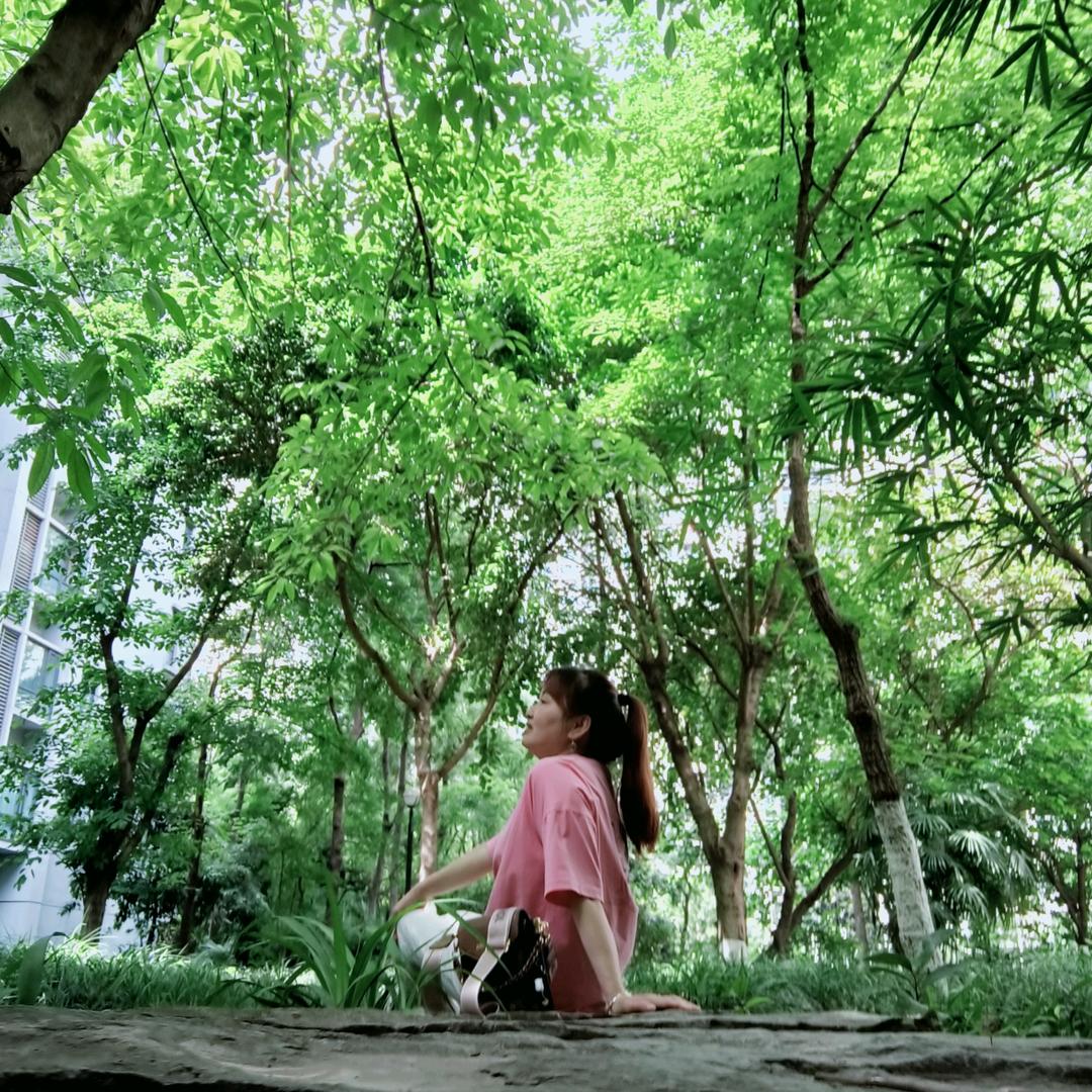 小李li