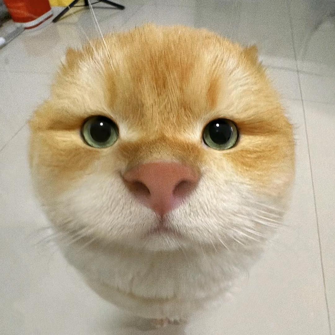 假如