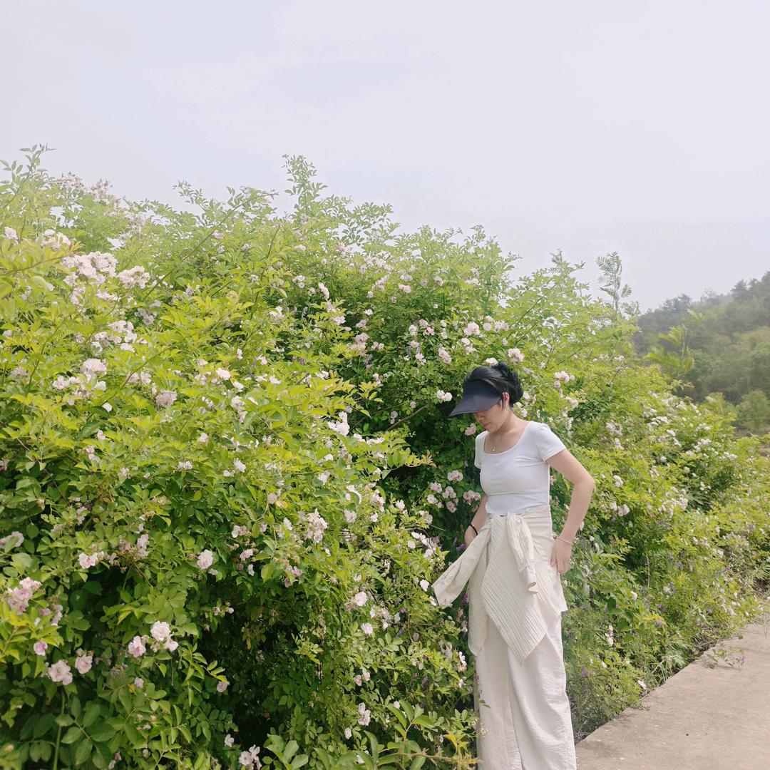 杨杨得亿`ȏ´