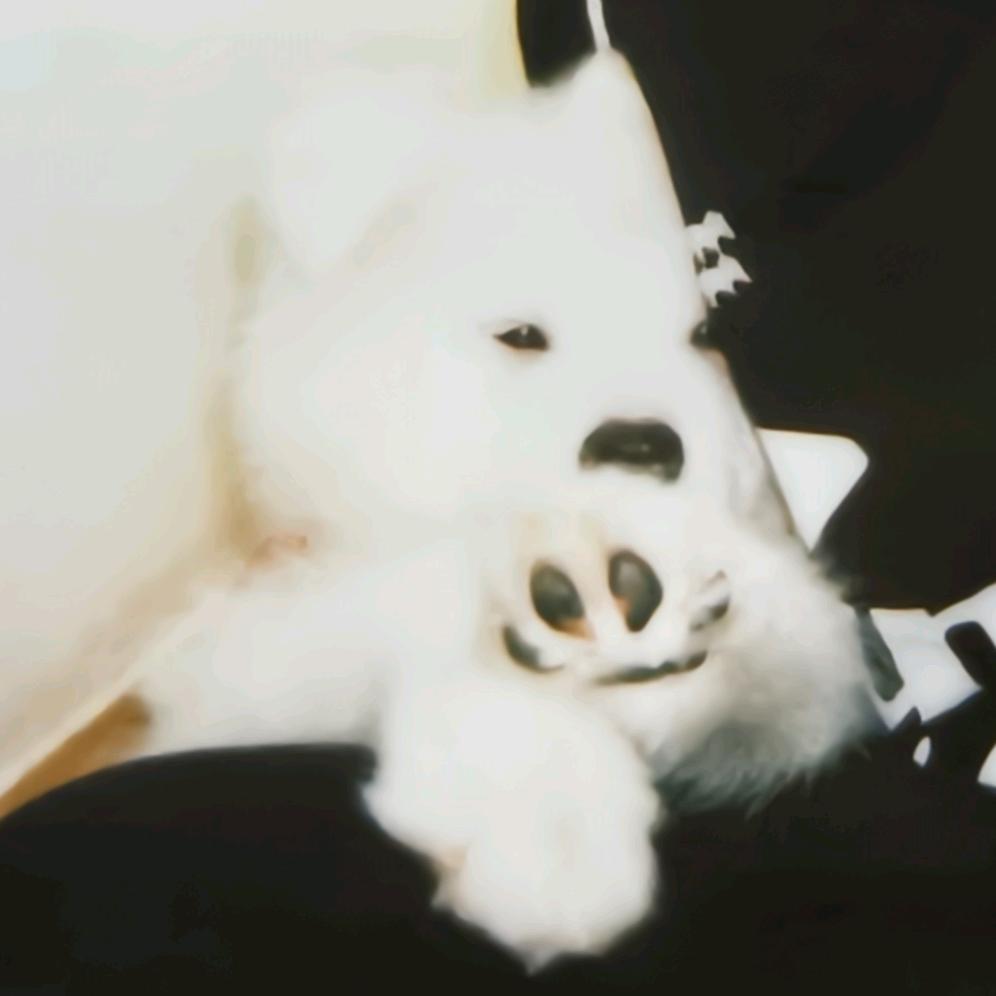 蒸鱼
