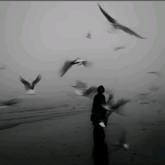 陌阡