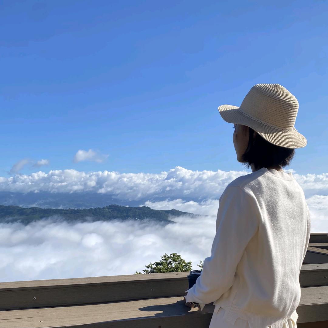 述语