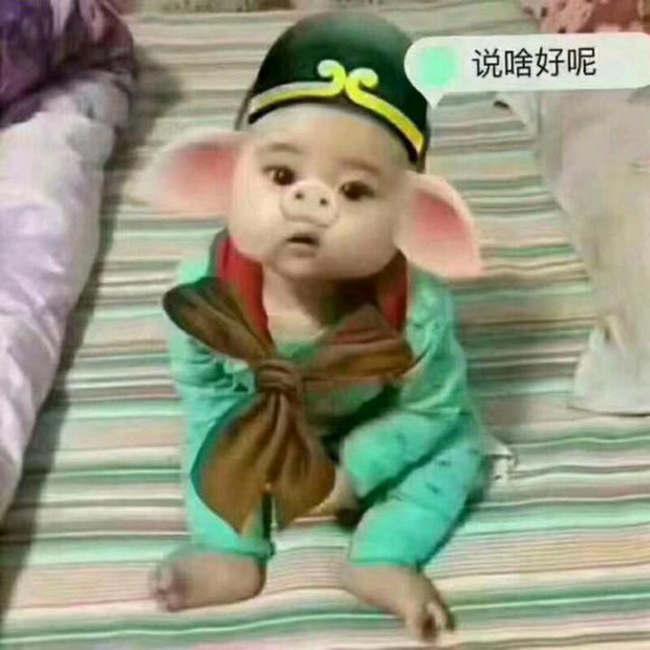 一场相遇,一生铭记