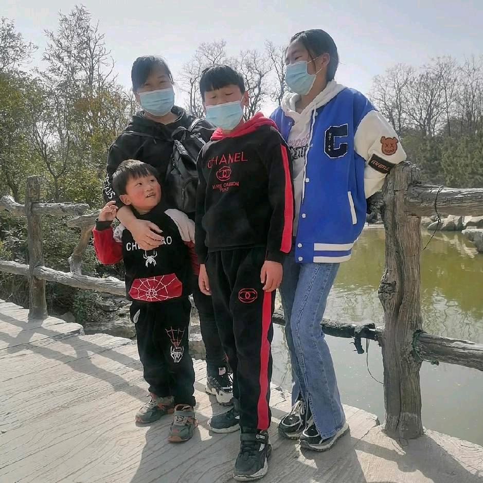 墙缝里的小草