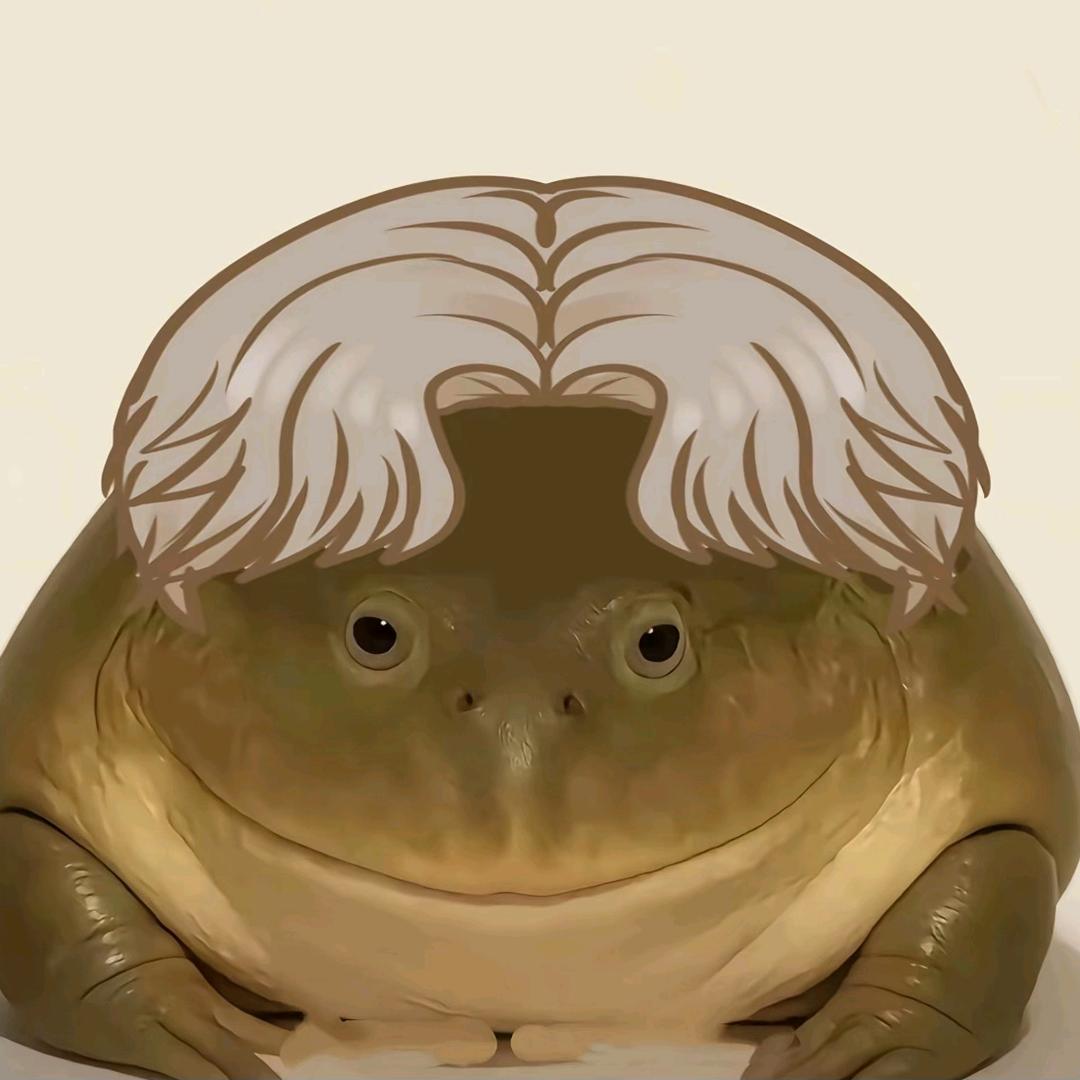 。。。。。。。