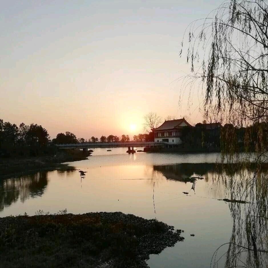 随缘之空