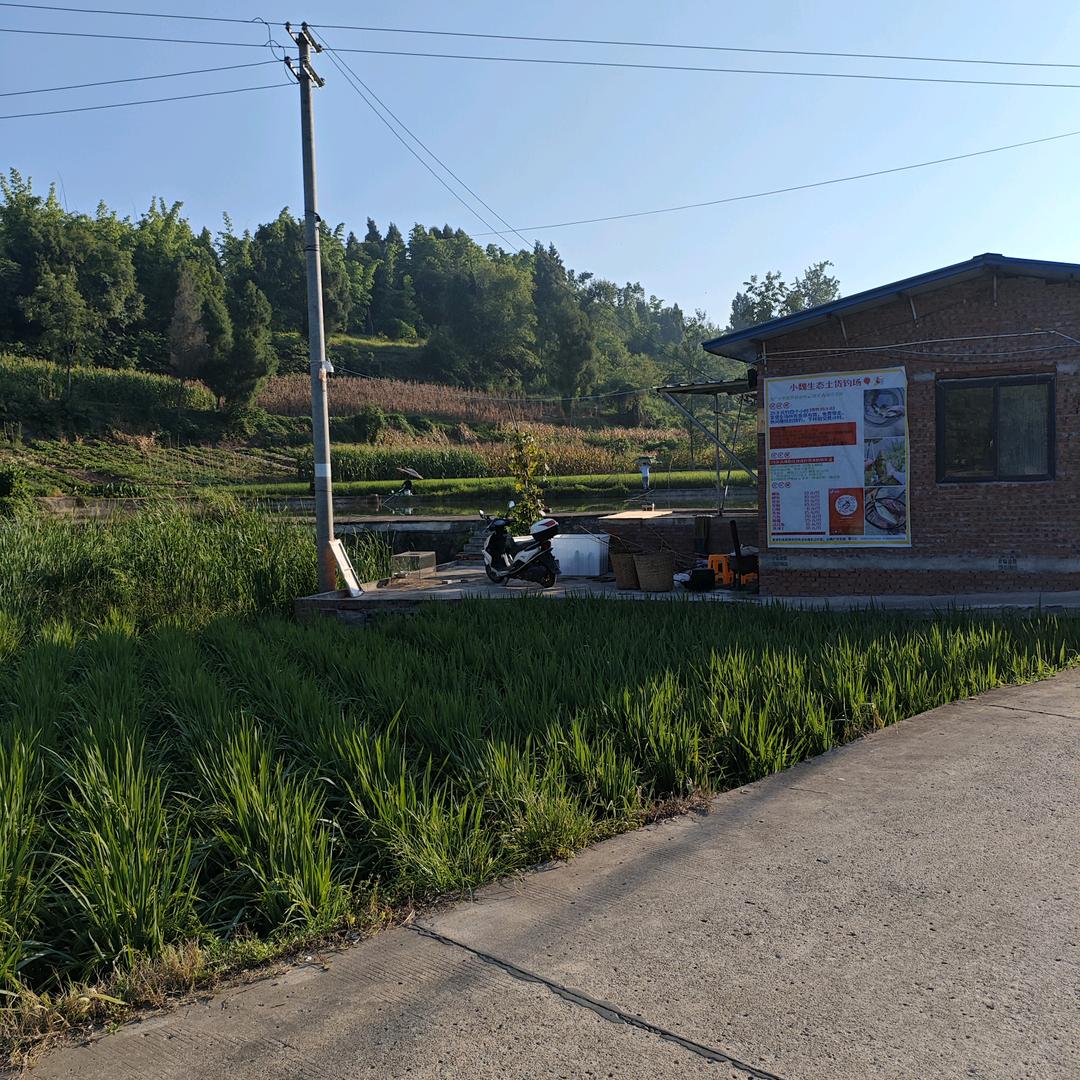 开钓场的小张（小魏钓场）