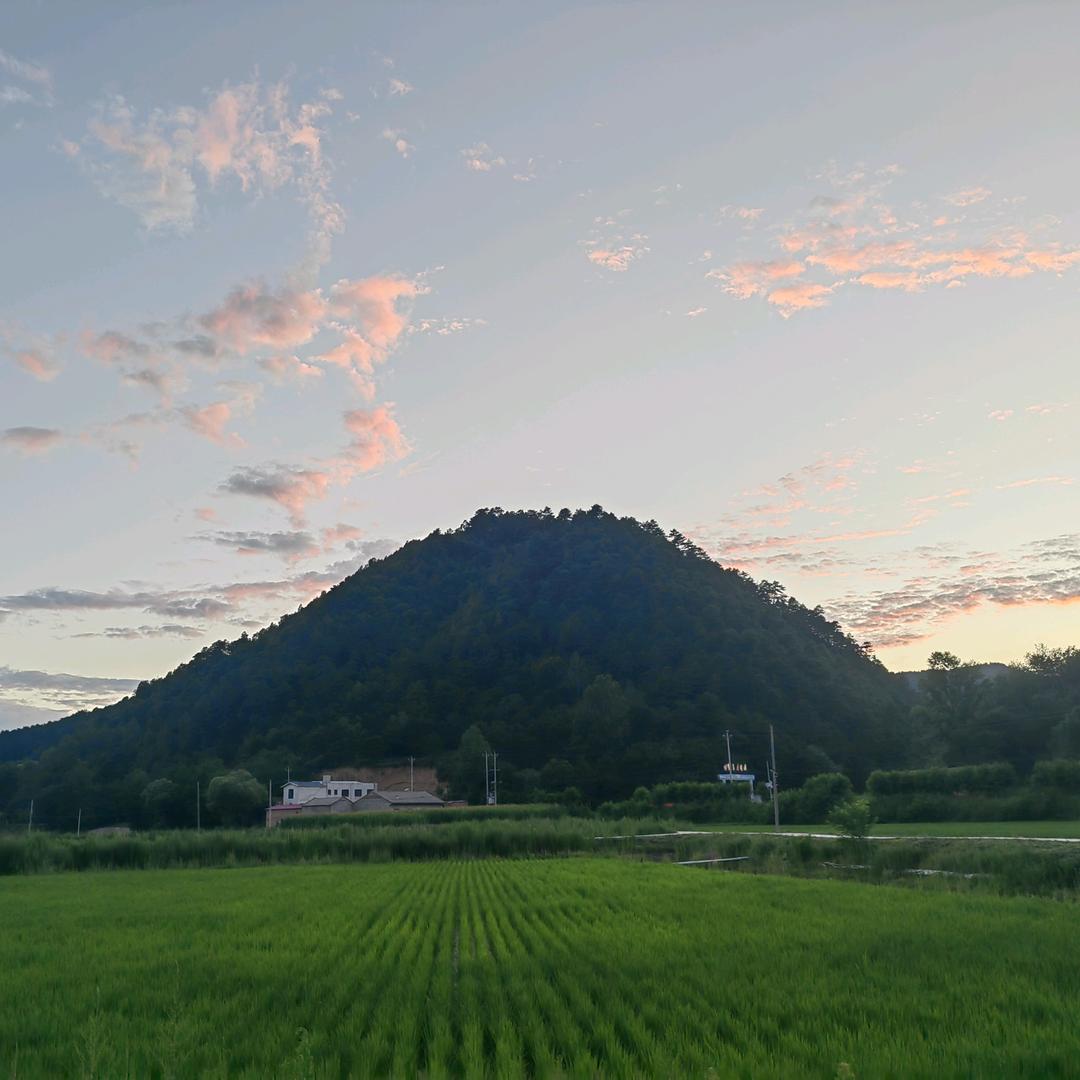 麒麟妮