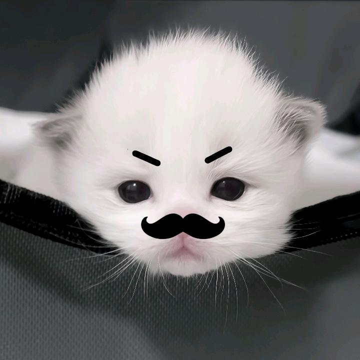 oxo（抹布机梦女版）