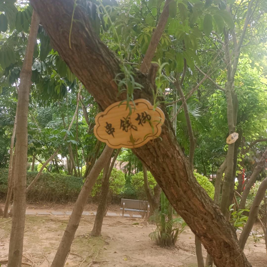 金水之缘