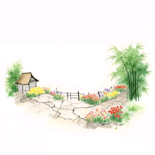 紫色蔷薇