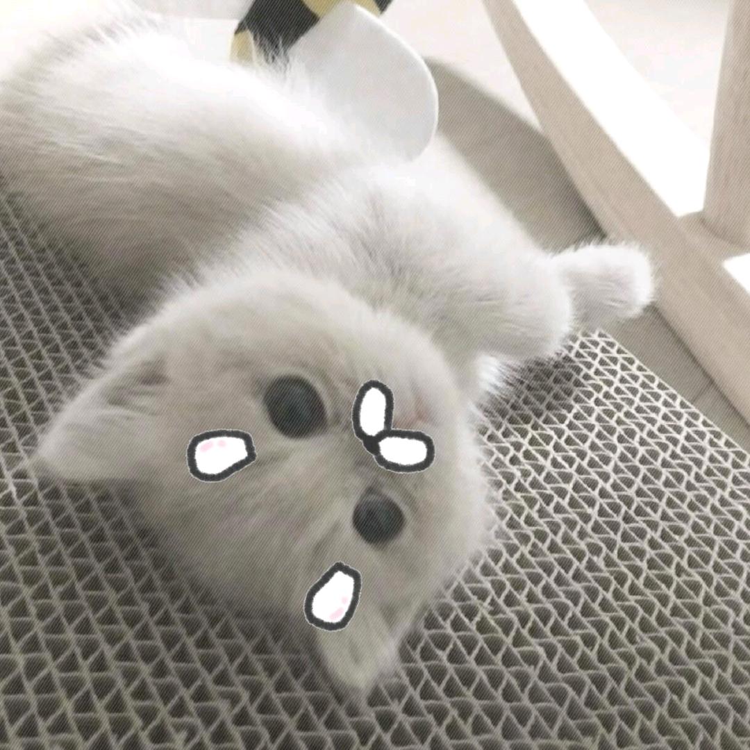 爱是不需要还的