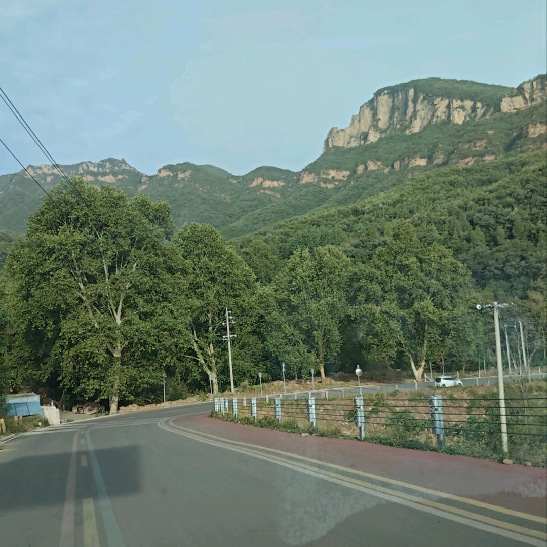 香葱大饼（李师傅）收学员