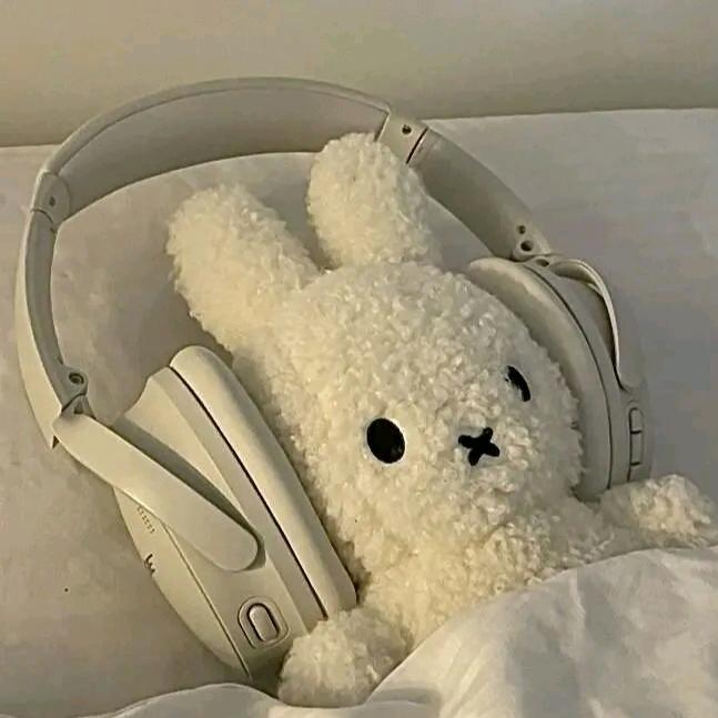 .ʚ柚子ɞ.ᥫᩣ头像