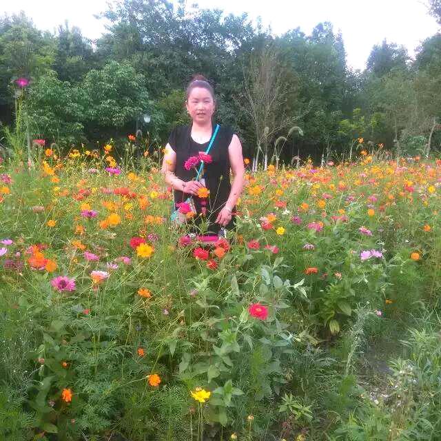 ✨芯᭄ꦿ༺芯༻࿐姐💞