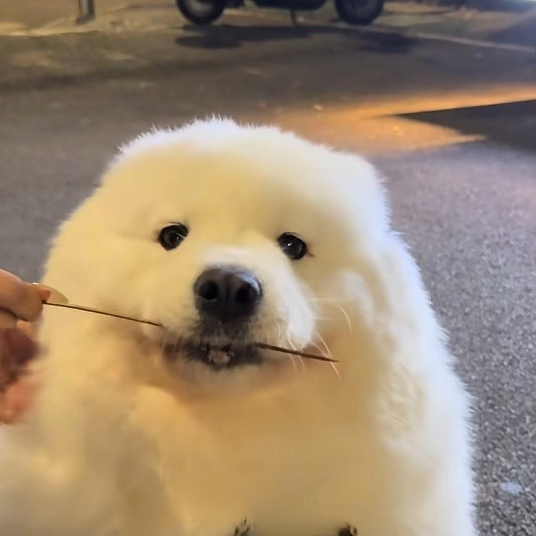 乐延