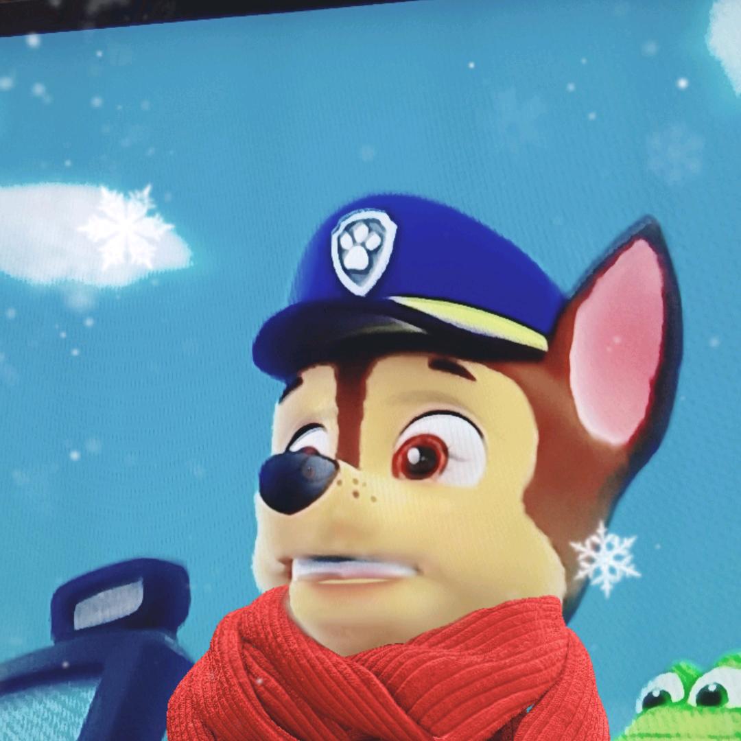 乒乓