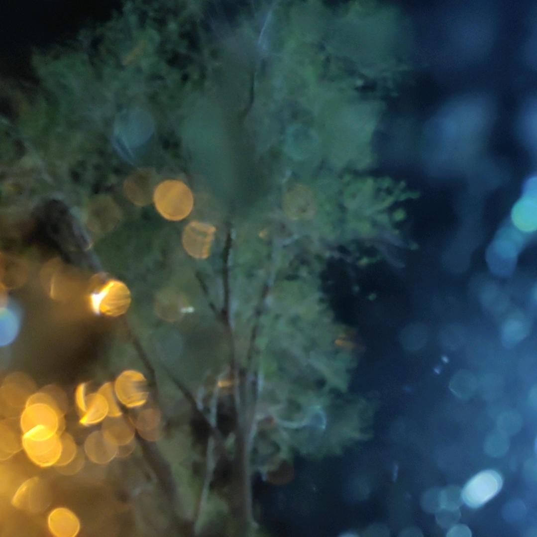 快快乐乐做好自己