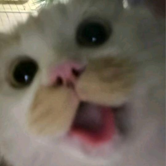 muhe