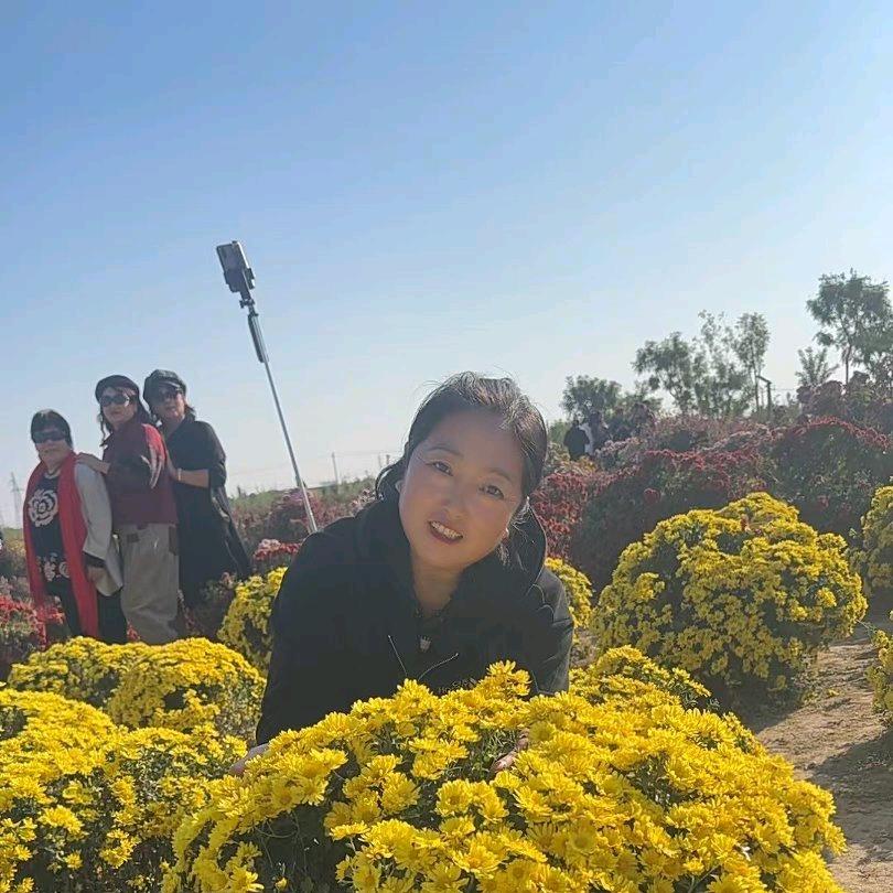 蝶恋花。。。。