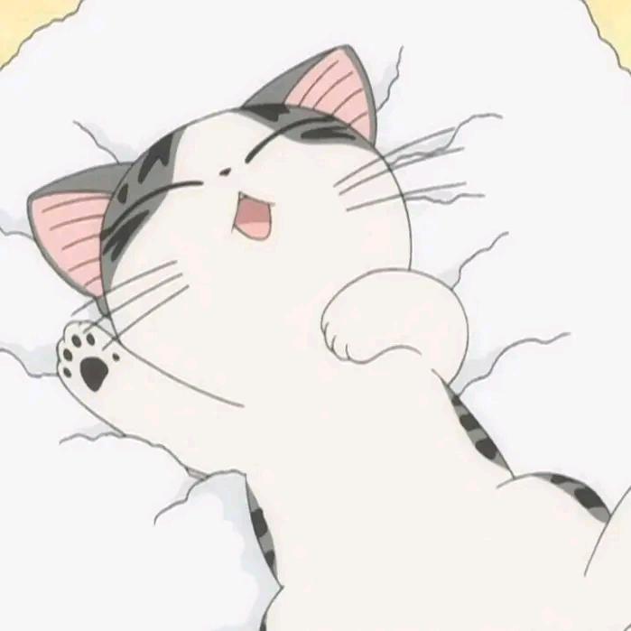 君君表情包
