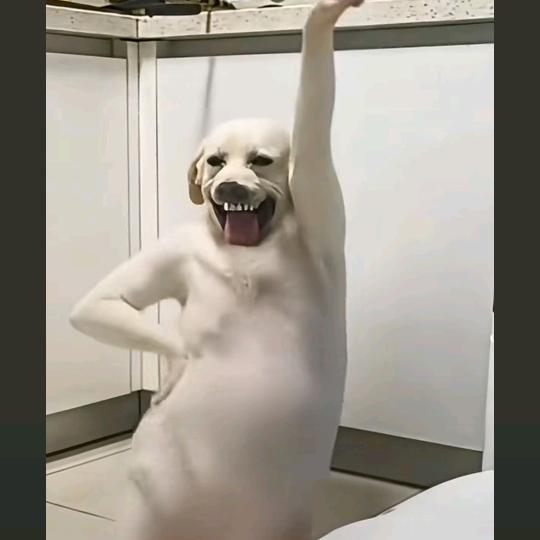 🥀ꦿ꯭曲章声势💞꧔ꦿ᭄