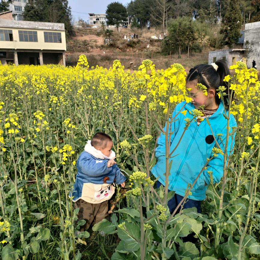 有风的季节