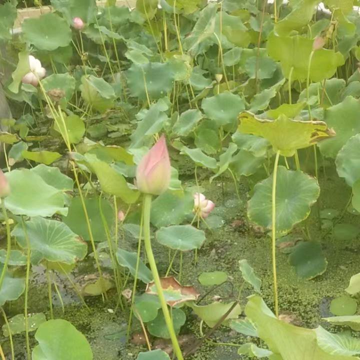 时间去哪了