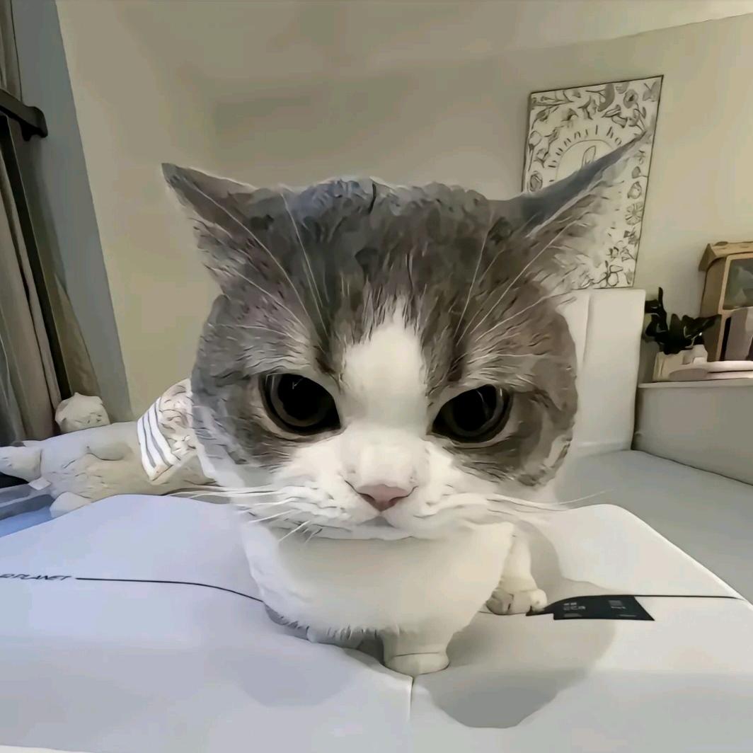 一拳超人