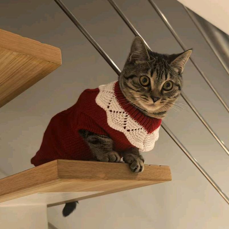 MiAo