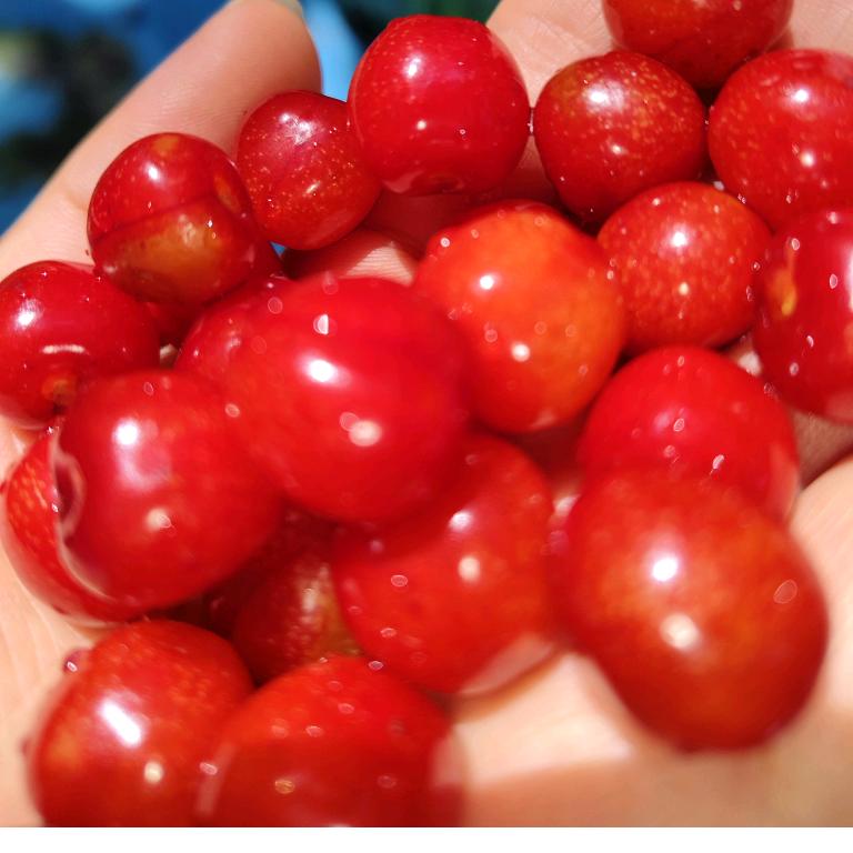 喜气洋洋李老三