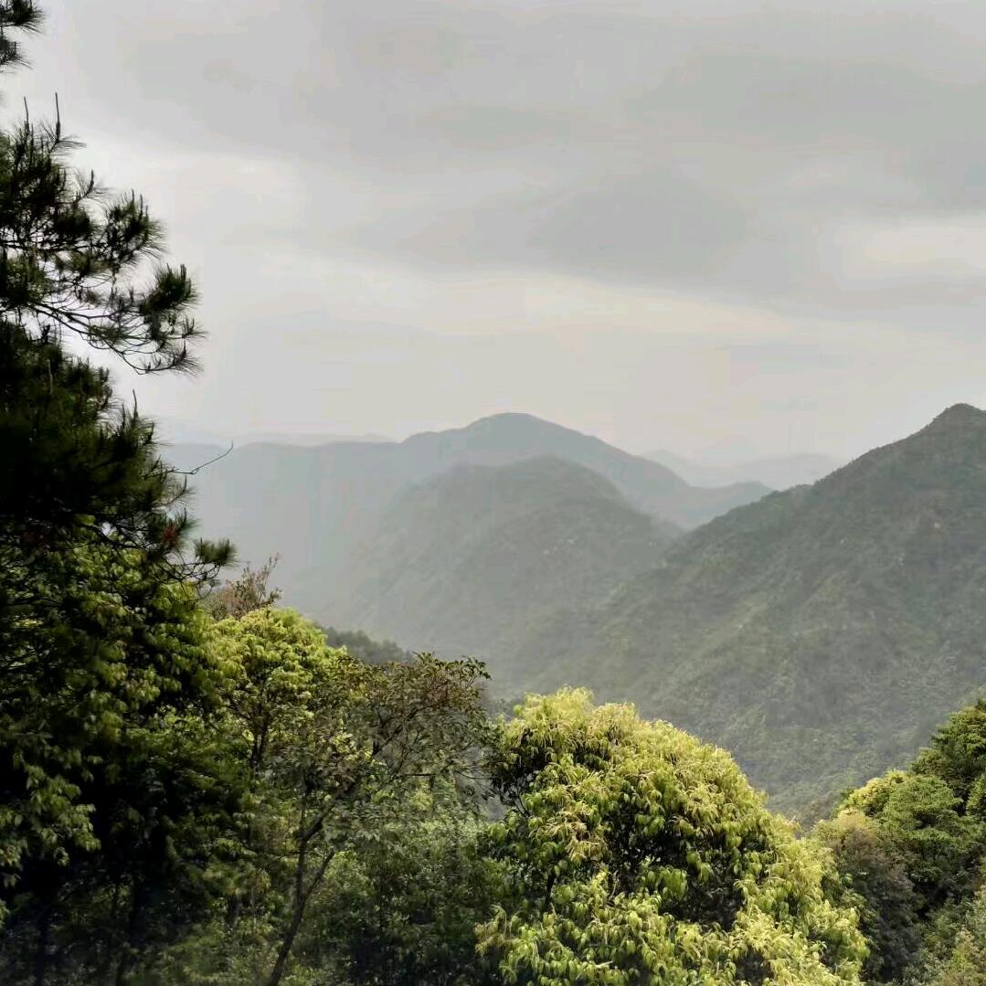 相信自己相信明天。