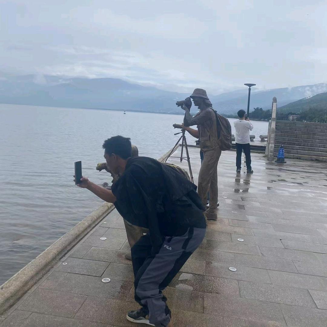 等风来，不如追风去